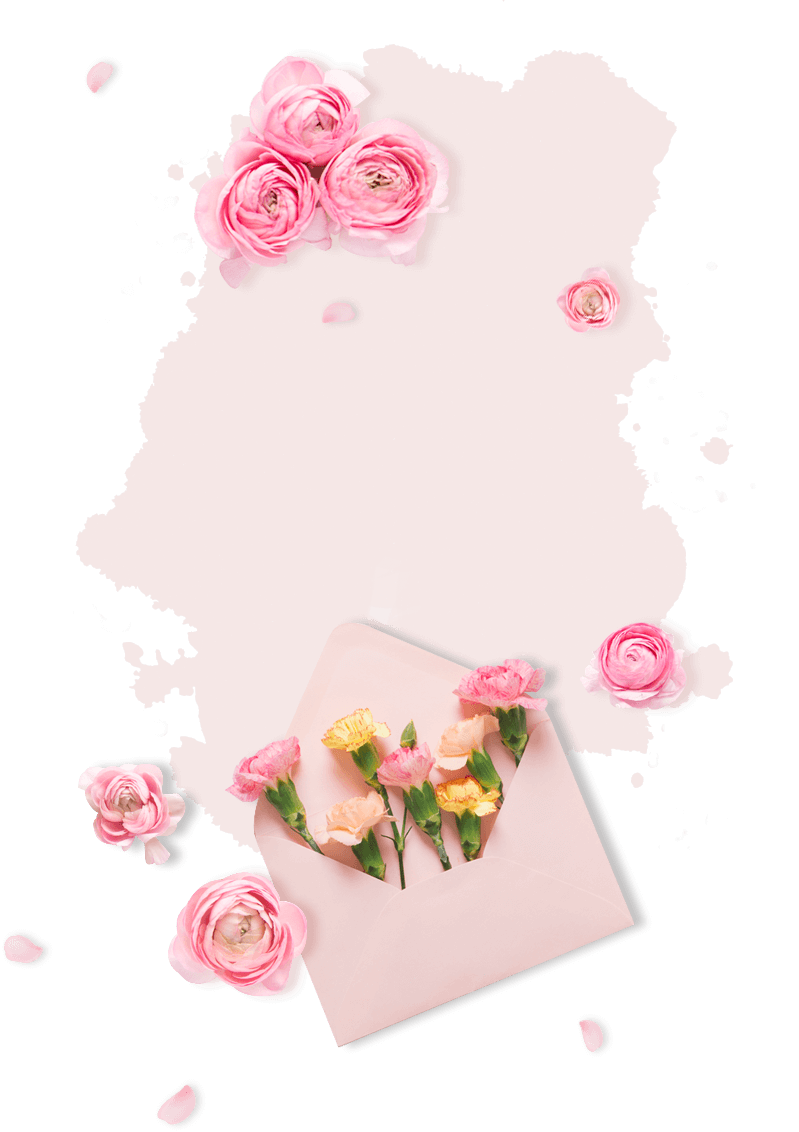 colección-rosas