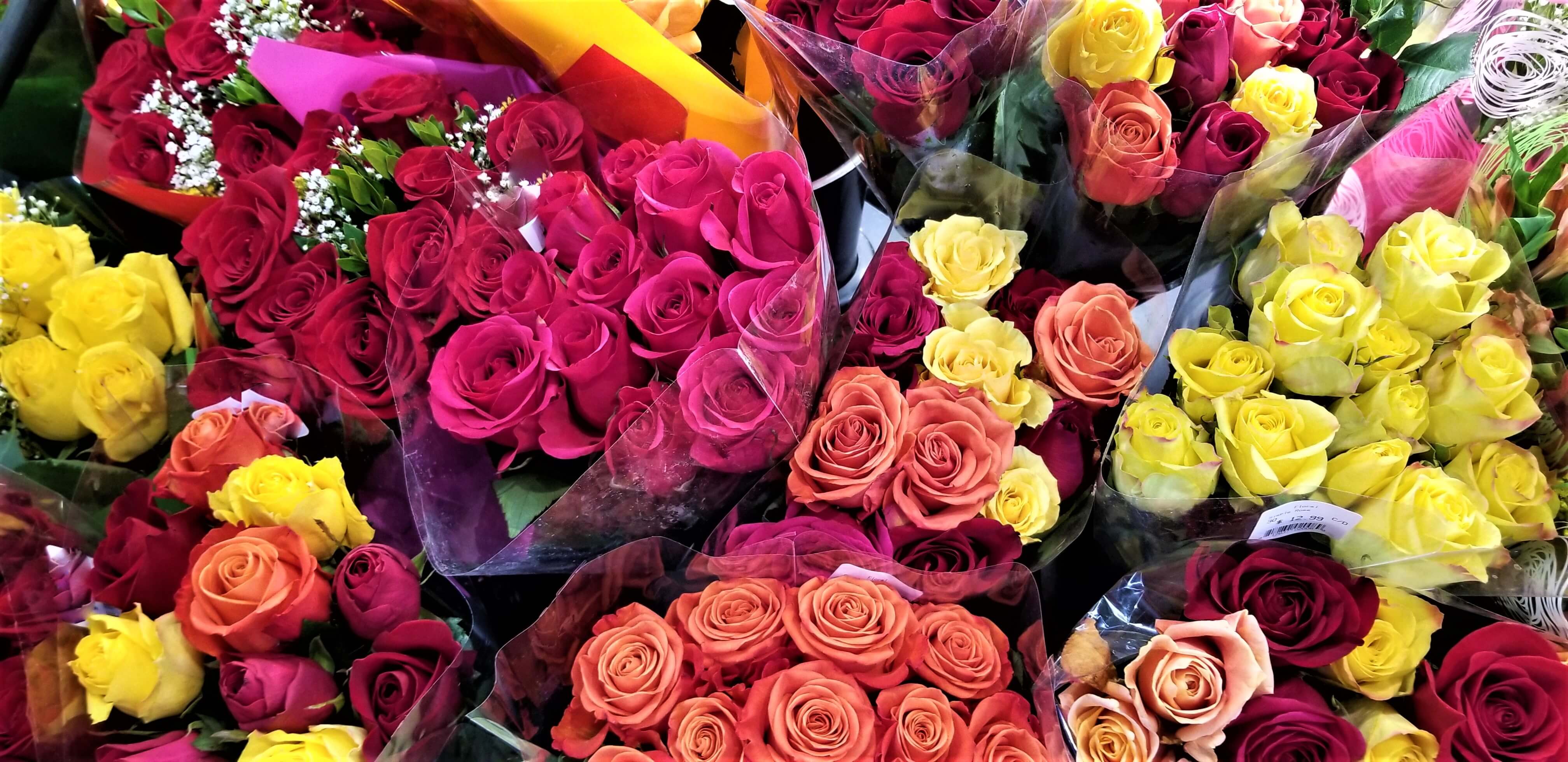 Tienda — Floral Xpress